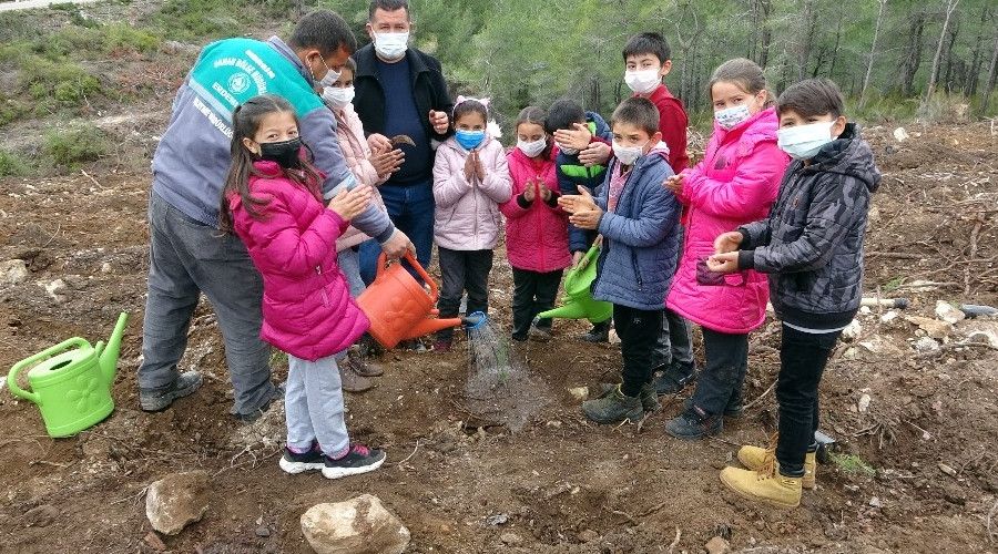 Nkleer Santral blgesine yangna dayanakl fidan