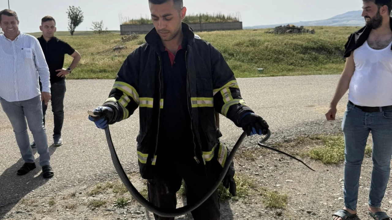 O �ehrimizde tavan aras�na giren y�lan pani�e neden oldu