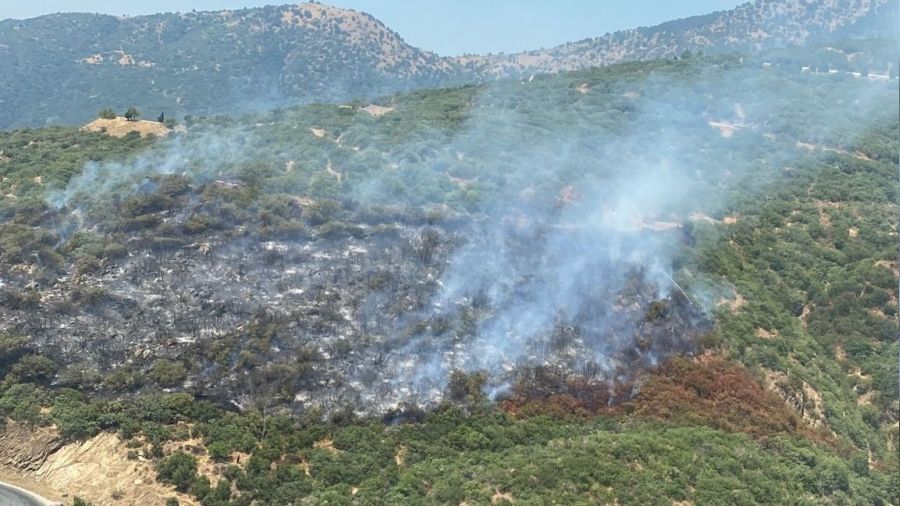 �demi�'te ara� yang�n� ormana s��rad�