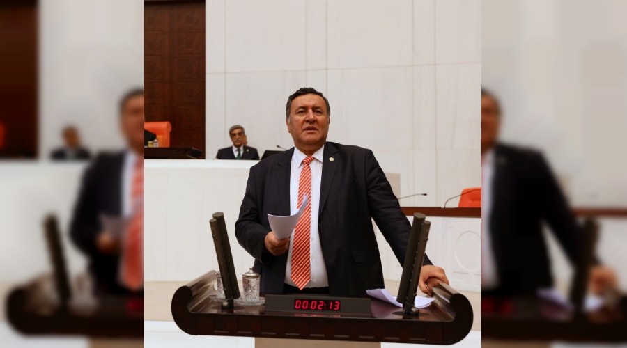 Orman alanları talana mı açılıyor?