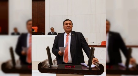 Orman alanları talana mı açılıyor?