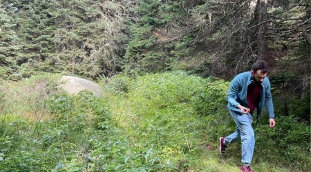 Ormanlara giriş yasağı bitti