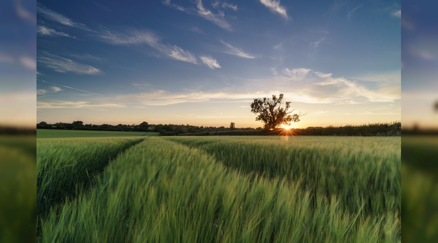 ��yle a�larlar ki g�zya�lar� t�kenir�