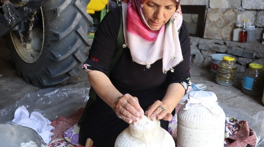 Peynirler toprağa gömülüyor