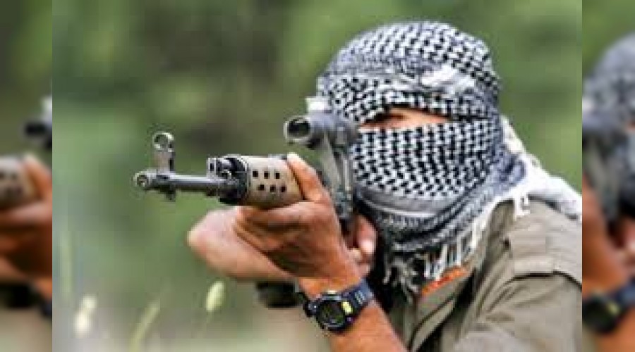 PKK'lı teröristlerden 'Ermenistan' itirafı
