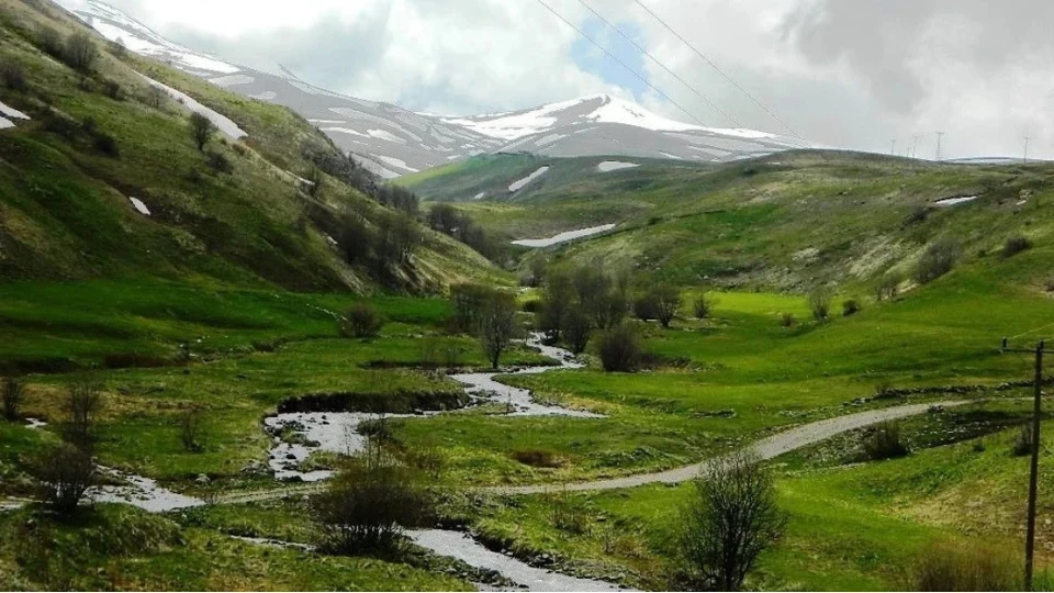 Posof Vadisi: Yayla turizmi, doğa yürüyüşleri, kuş gözlemciliği