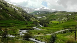 Posof Vadisi: Yayla turizmi, do�a y�r�y��leri, ku� g�zlemcili�i