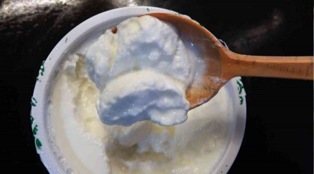 Probiyotikler alzheimer riskini azaltıyor