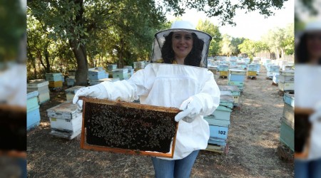 ‘Propolis doğurganlığı arttırıyor’