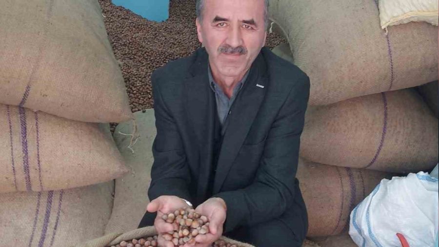 Rekolte düşüklüğünden dolayı, fındık fiyatı güncellenmeli