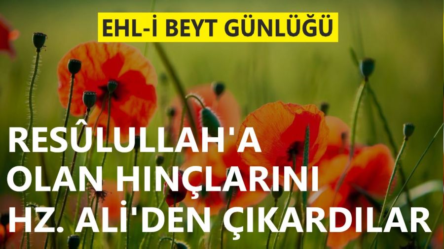 Resûlullah’a olan hınçlarını Hz. Ali’den çıkardılar