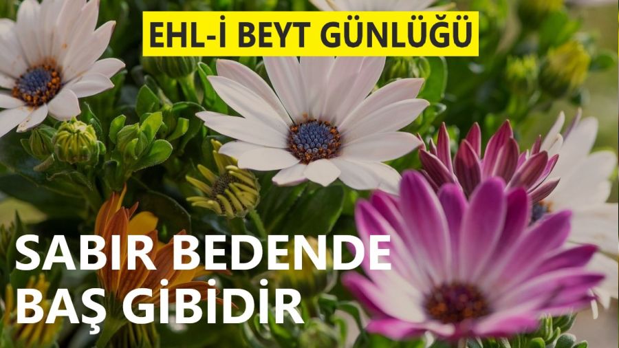 ‘Sabır bedende baş gibidir’