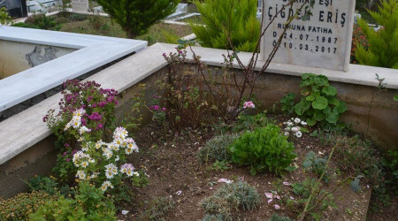 Safra kesesi ameliyatında ölen genç kadının davasında karar verildi