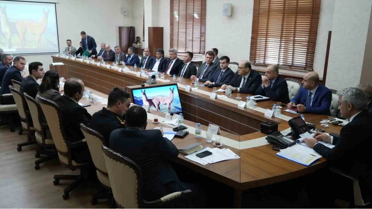 Sahipsiz hayvanları sokağa bırakanlar 71 bin 965 lira ödeyecekler