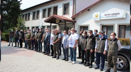 Sakarya'da iki orman grevlisi darp edildi