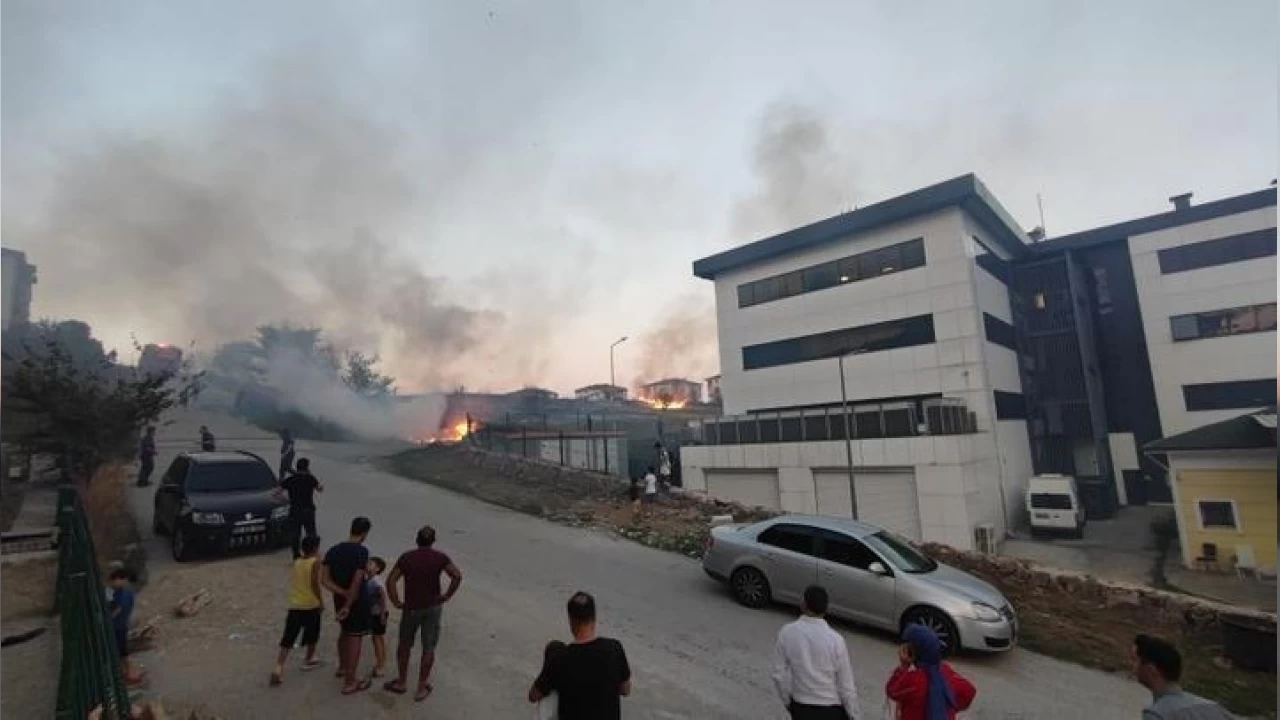 Sakarya'da korkutan yangın