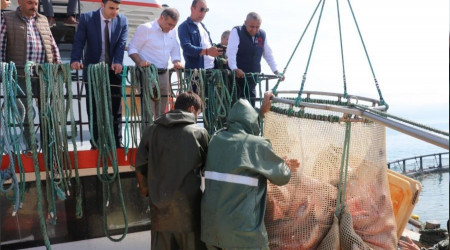 Samsun'da Türk somonu hasadı