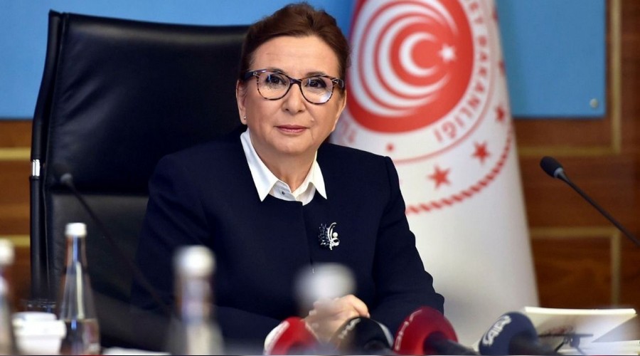  Sanal ticaret heyetleri g�revde