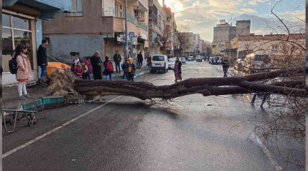 Şanlıurfa'da faciadan dönüldü