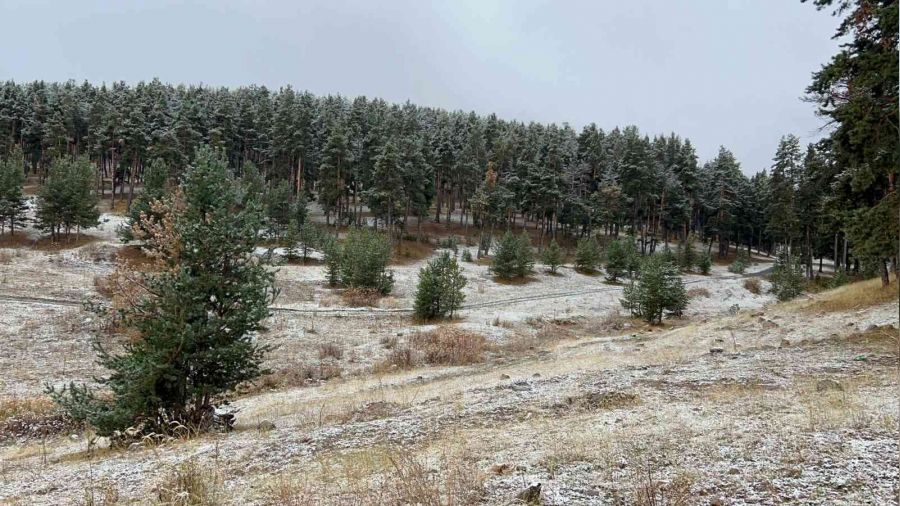 Sarıkamış beyaza büründü