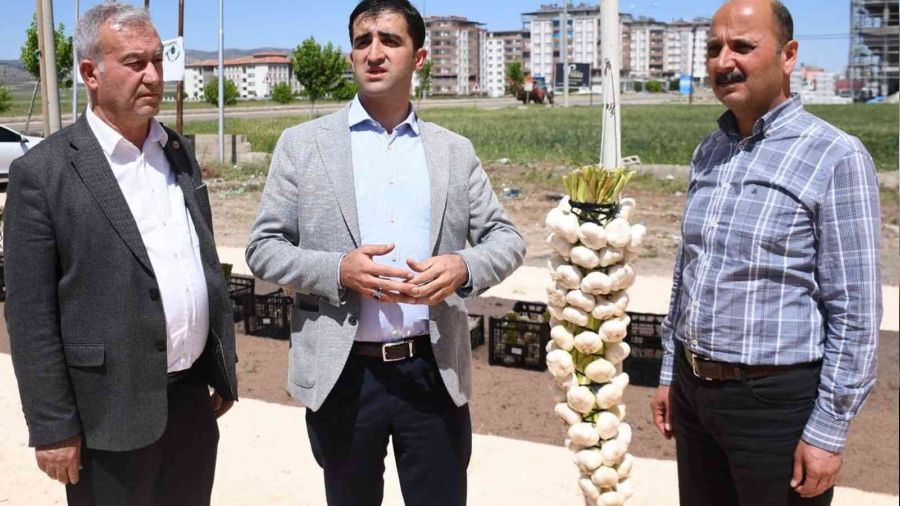Sarmsak ve firik reticileri altn iin yart