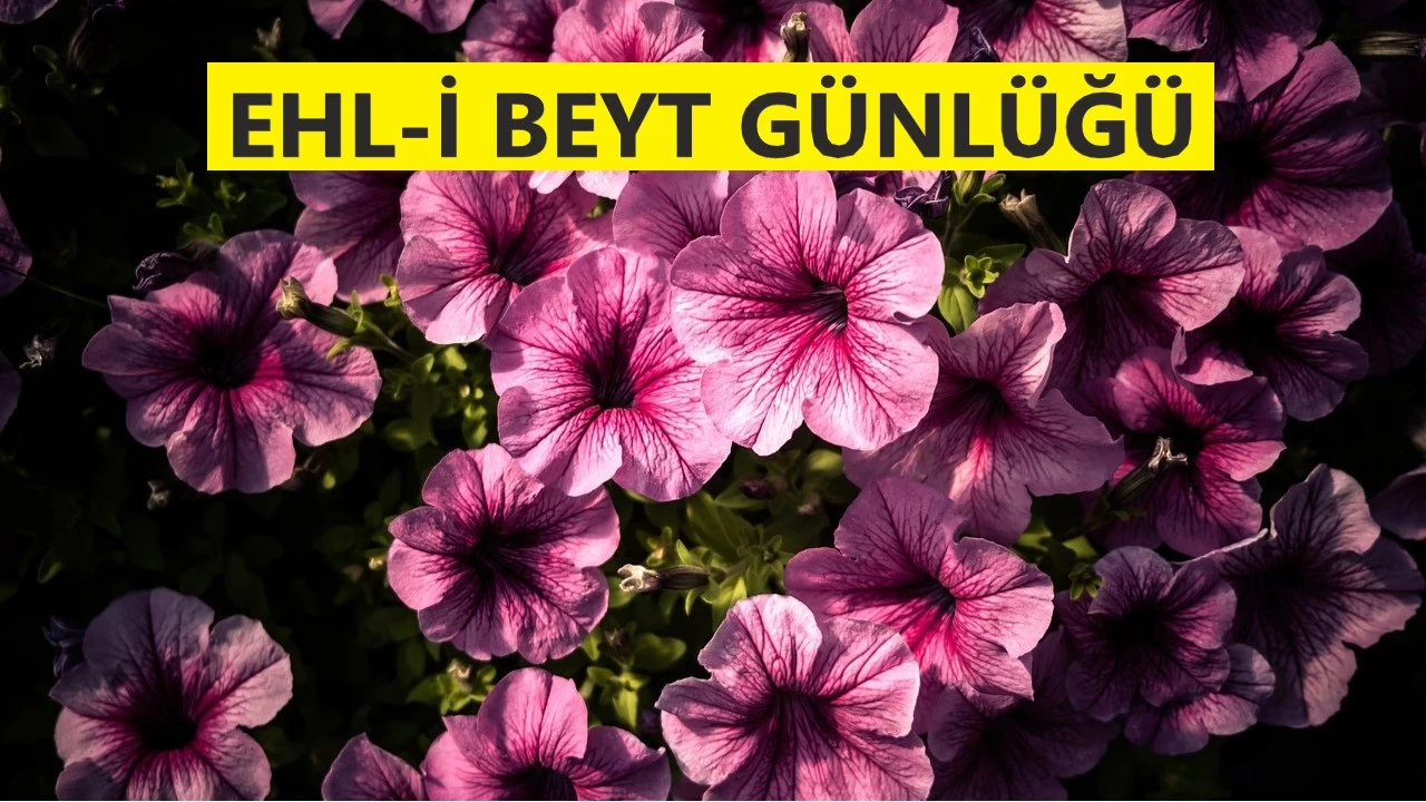 �Sen, �z annemden sonraki annemdin�