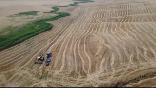 Siirt'te bu�day hasad� ba�lad�: Ya���lar �ift�iye umut oldu
