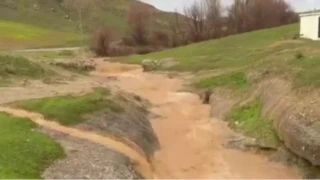 Siirt'te dolu yağışı etkili oldu, bahçeler zarar gördü