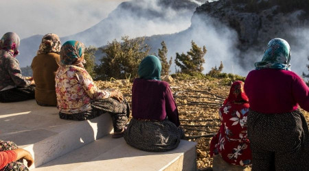 Silifke ve Aydıncık'ta yaklaşık 14 bin hektar alan yandı