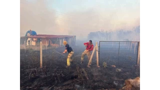 Silivri'deki orman yangn mangaldan kt: 1 gzalt