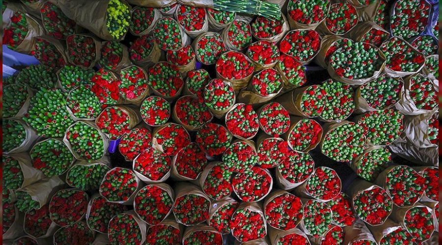 Şimdi de 8 Mart Dünya Kadınlar Günü'ne hazırlanıyorlar