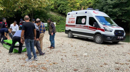 Sinop Erfelek Şelaleleri'nde ağaç devrildi: 2 ölü, 1 yaralı