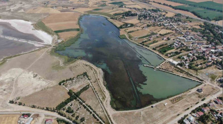 Sivas'ta ilginç doğa olayı, göl yosunla kaplandı