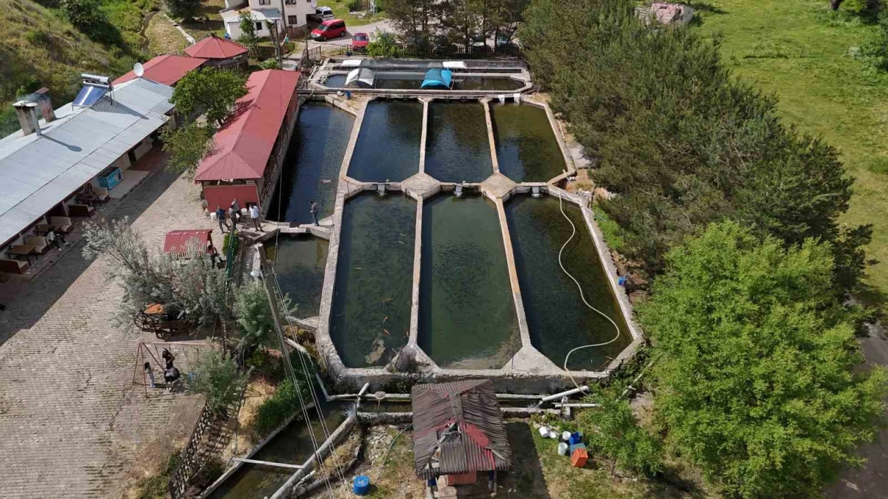 Sivas'ta üretilen balıklar dünyaya pazarlanıyor