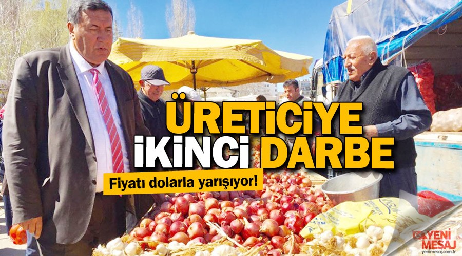 So�anda tohum fiyat� dolarla yar���yor!