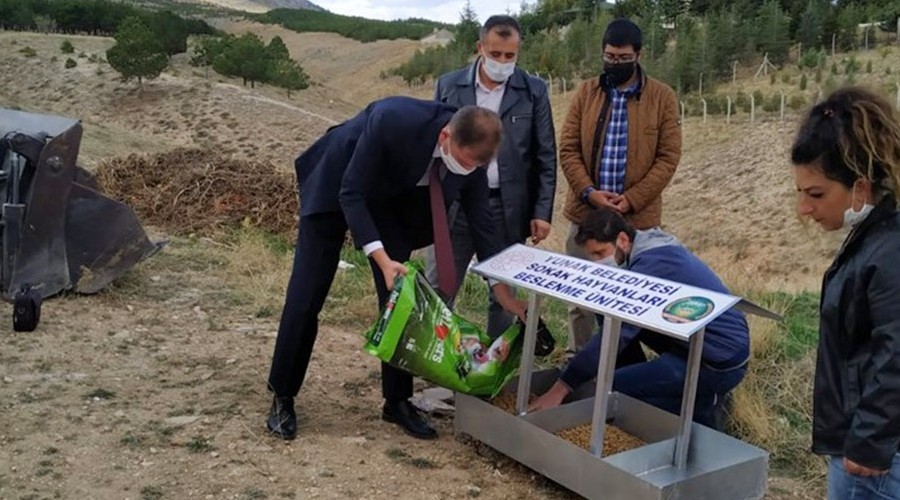 Sokak hayvanlar�na besleme noktas�