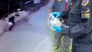 Sokak köpeği, ziynet eşyası dolu çantayı alıp gitti