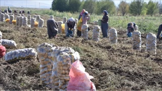 uhut ilesinin tarmsal ve sanayi potansiyeli ile karlat sorunlar