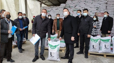 Sungurlu'da çiftçilere 34 ton nohut tohumu dağıtıldı