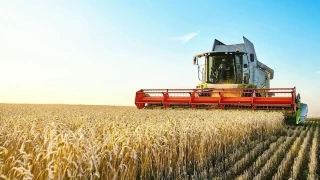 Tarım ÜFE kasımda aylık bazda yüzde 8.88 arttı