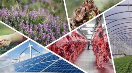 Tarıma dayalı ekonomik yatırım projelerine hibe desteği