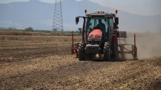 Tarmsal girdi fiyat endeksi yllk yzde 29.73 artt