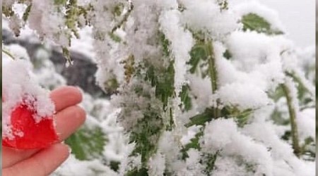 Taşköprü'de kar şaşkınlığı