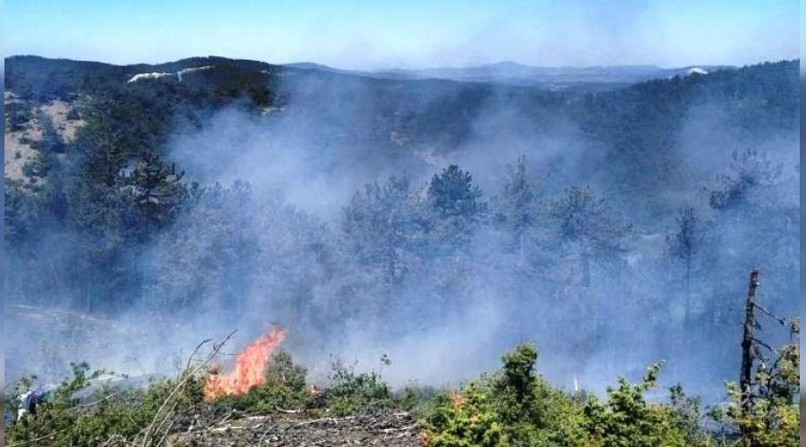 Tav�anl�'daki orman yang�n� k�sa s�rede s�nd�r�ld�