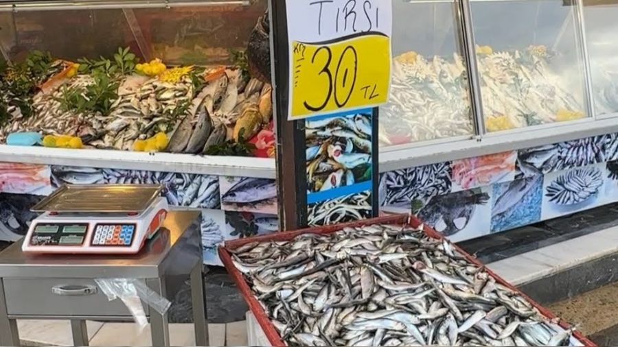Tezgahın en ucuzu 'tirsi' oldu