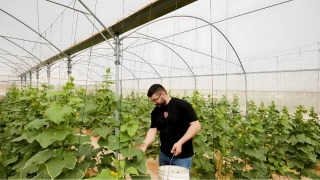 TKA, Filistin'de retim tesisleri kuruyor