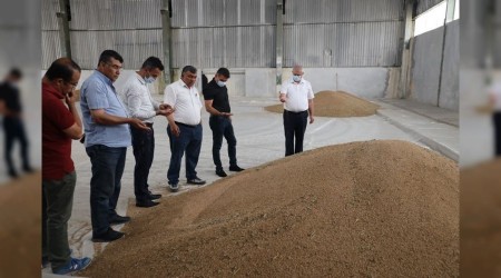 TMO'da buğday alımı