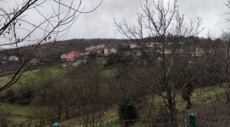 Traktr devrildi, eini kaybetti