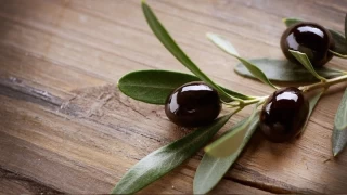 Türk zeytini Avustralya yolunda