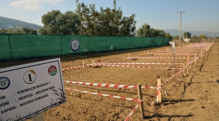 Türkiye'de ilk olacak